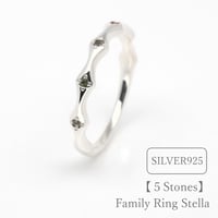 ファミリーリング（Stella-ステラ）|大切な絆を誕生石で紡ぐ指輪【5石-選べる誕生石】｜シルバー925｜Artisan Works