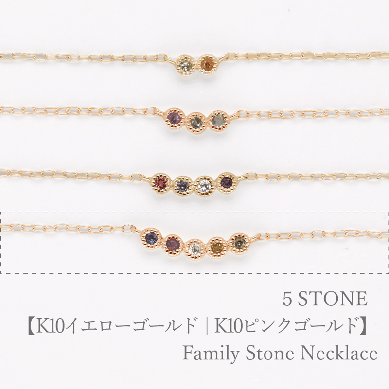 100%品質 大切な人の宝石を紡ぐ【5石】-Family Necklace(ファミリー その他