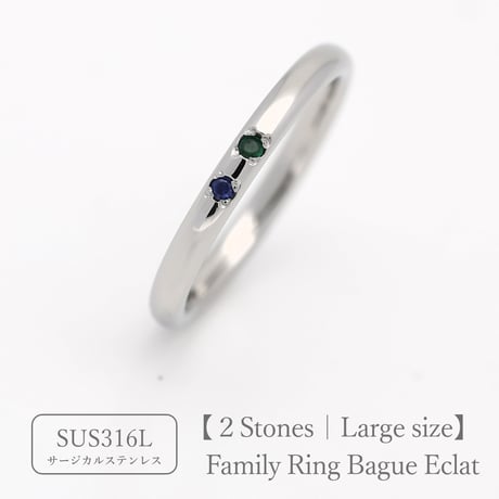 ファミリーリング（Bague Eclat-バーグ エクラ）|大切な絆を誕生石で紡ぐ指輪【2石-選べる誕生石】｜【21号以上・選べるリング幅】｜サージカルステンレス （金アレ対応素材）