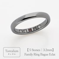 タンタルのリング｜大切な絆を誕生石で紡ぐ指輪【5石-選べる誕生石】｜3.2mm幅｜Family Ring Bague Eclat（ファミリーリング・バーグ エクラ）｜Artisan Works
