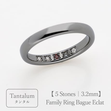 タンタルのリング｜大切な絆を誕生石で紡ぐ指輪【5石-選べる誕生石】｜3.2mm幅｜Family Ring Bague Eclat（ファミリーリング・バーグ エクラ）｜Artisan Works