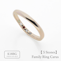 ファミリーリング（Carus Intus-カルス・インタス）｜〈想いを包む内石タイプ〉選べる誕生石5石｜K18BG｜Artisan Works