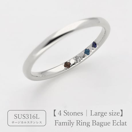 ファミリーリング（Bague Eclat-バーグ エクラ）|大切な絆を誕生石で紡ぐ指輪【4石-選べる誕生石】｜【21号以上サイズ・選べる幅】｜サージカルステンレス （金アレ対応素材）