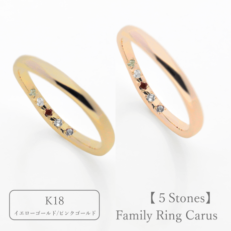 ファミリーリング（Carus Intus-カルス・インタス）｜〈想いを包む内石タイプ〉選べる誕生石5石｜K18YG/K18PG【選べる素材】｜Artisan Works