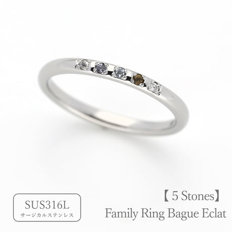 ファミリーリング（Bague Eclat-バーグ エクラ）|大切な絆を誕生石で紡ぐ指輪【5石-選べる誕生石】｜【選べるリング幅】｜サージカルステンレス （金属アレルギー対応素材）