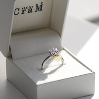 Propose Ring（プロポーズリング）｜SV925/ K18イエローゴールド｜[Atelier CraM]