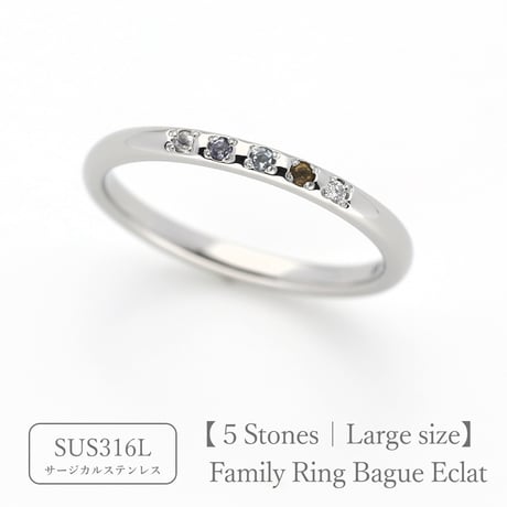 ファミリーリング（Bague Eclat-バーグ エクラ）|大切な絆を誕生石で紡ぐ指輪【5石-選べる誕生石】｜リング幅｜21号以上｜サージカルステンレス （金アレ対応素材）
