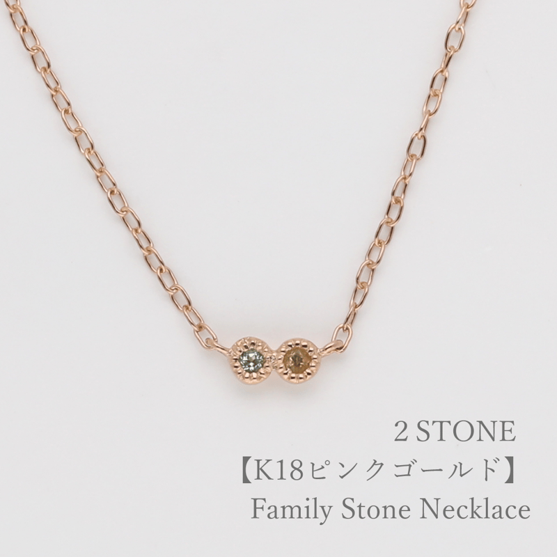 大切な人の宝石を紡ぐ【2石】-Family Necklace（ファミリーネックレス