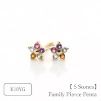 大切な絆を誕生石で紡ぐピアス【5石-選べる誕生石】｜K18YG｜Family Pierce Penta（ファミリーピアス・ペンタ）｜Artisan Works