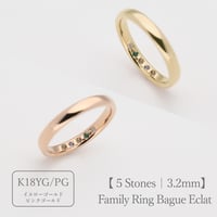 ファミリーリング（Bague Eclat-バーグ エクラ）|大切な絆を誕生石で紡ぐ指輪【5石-選べる誕生石】｜3.2mm幅｜K18YG/K18PG【選べる素材】