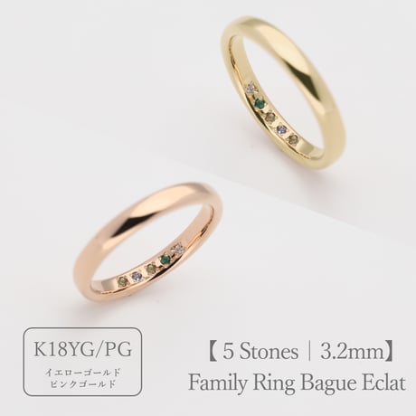 ファミリーリング（Bague Eclat-バーグ エクラ）|大切な絆を誕生石で紡ぐ指輪【5石-選べる誕生石】｜3.2mm幅｜K18YG/K18PG【選べる素材】