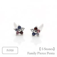 大切な絆を誕生石で紡ぐピアス【5石-選べる誕生石】｜Pt950｜Family Pierce Penta（ファミリーピアス・ペンタ）｜Artisan Works