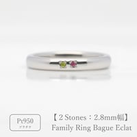 ファミリーリング（Bague Eclat-バーグ エクラ）|大切な絆を誕生石で紡ぐ指輪【2石-選べる誕生石】｜2.8mm幅｜プラチナ950｜Artisan Works