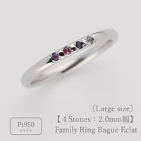 ファミリーリング（Bague Eclat-バーグ エクラ）|大切な絆を誕生石で紡ぐ指輪【4石-選べる誕生石】｜【21号以上サイズ】｜2mm幅｜プラチナ950｜Artisan works