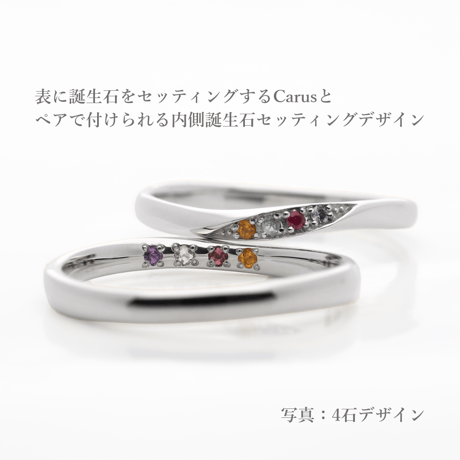 ファミリーリング（Carus Intus-カルス・インタス）｜〈想いを包む内石タイプ〉選べる誕生石4石｜サージカルステンレス （金アレ対応素材）｜Artisan Works
