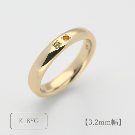 ファミリーリング（Bague Eclat-バーグ エクラ）|大切な絆を誕生石で紡ぐ指輪【2石-選べる誕生石】｜3.2mm幅｜K18YG/K18PG【選べる素材】