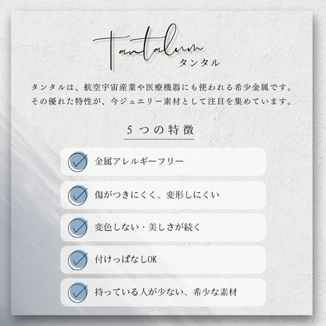 タンタルの指輪｜甲丸リング【2本セット】金属アレルギー対応リング｜[Atelier CraM]