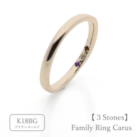 ファミリーリング（Carus Intus-カルス・インタス）｜〈想いを包む内石タイプ〉選べる誕生石3石｜K18BG｜Artisan Works