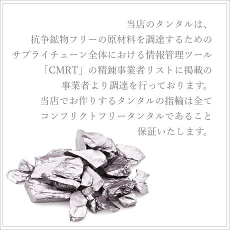 タンタルの指輪｜甲丸リング【2本セット】金属アレルギー対応リング｜[Atelier CraM]