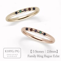 ファミリーリング（Bague Eclat-バーグ エクラ）|大切な絆を誕生石で紡ぐ指輪【5石-選べる誕生石】｜2.0mm幅｜K18YG/K18PG【選べる素材】