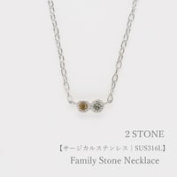 大切な人の宝石を紡ぐネックレス【選べる誕生石-2石-】｜サージカルステンレス（金アレ対応素材）｜Family Necklace（ファミリーネックレス）｜Artisan Works