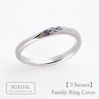 ファミリーリング（Carus-カルス）｜〈想いを飾る外石タイプ〉選べる誕生石3石｜サージカルステンレス （金アレ対応素材）｜Artisan Works