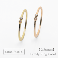 ファミリーリング（Cocol-ココル）｜選べる誕生石2石｜K18YG/K18PG｜Artisan Works