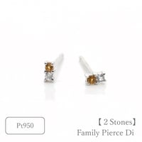 大切な絆を誕生石で紡ぐピアス【2石-選べる誕生石】｜Pt950｜Family Pierce Di（ファミリーピアス・デイ）｜Artisan Works