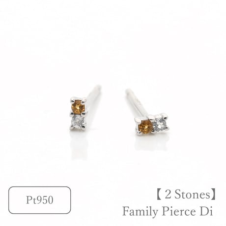 大切な絆を誕生石で紡ぐピアス【2石-選べる誕生石】｜Pt950｜Family Pierce Di（ファミリーピアス・デイ）｜Artisan Works