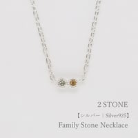 大切な人の宝石を紡ぐネックレス【選べる誕生石-2石-】｜シルバー925｜Family Necklace（ファミリーネックレス）｜Artisan Works