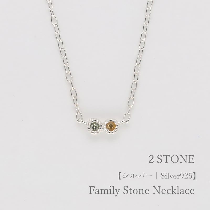 大切な人の宝石を紡ぐ【2石】-Family Necklace（ファミリーネックレス