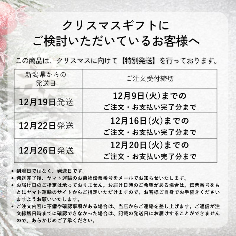 メビウス ペアリング2本セット【無料内側刻印＆選べる宝石＆サイズ交換