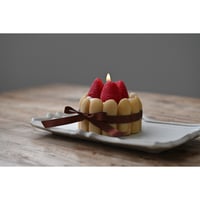 ご購入の前に必ずご覧ください(Please read before purchasing) |