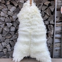 ウェルテフレー シープスコート
