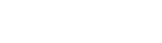 FireDevice STORE