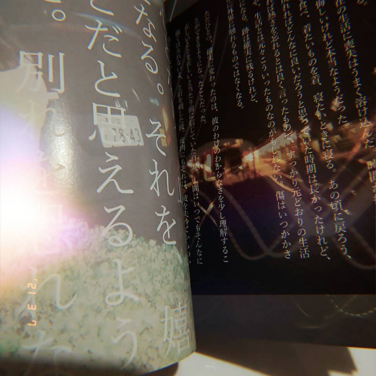 en.zine様商談中 2nd ZINE「日常を見つめて」 | the pullovers official store