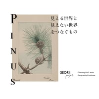 オンラインclass vol.6 「松(pine)〜pinus 見える世界と見えない世界をつなぐもの〜」