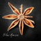 Star Anise（スターアニス/八角)　☆取寄せ　※終売予定
