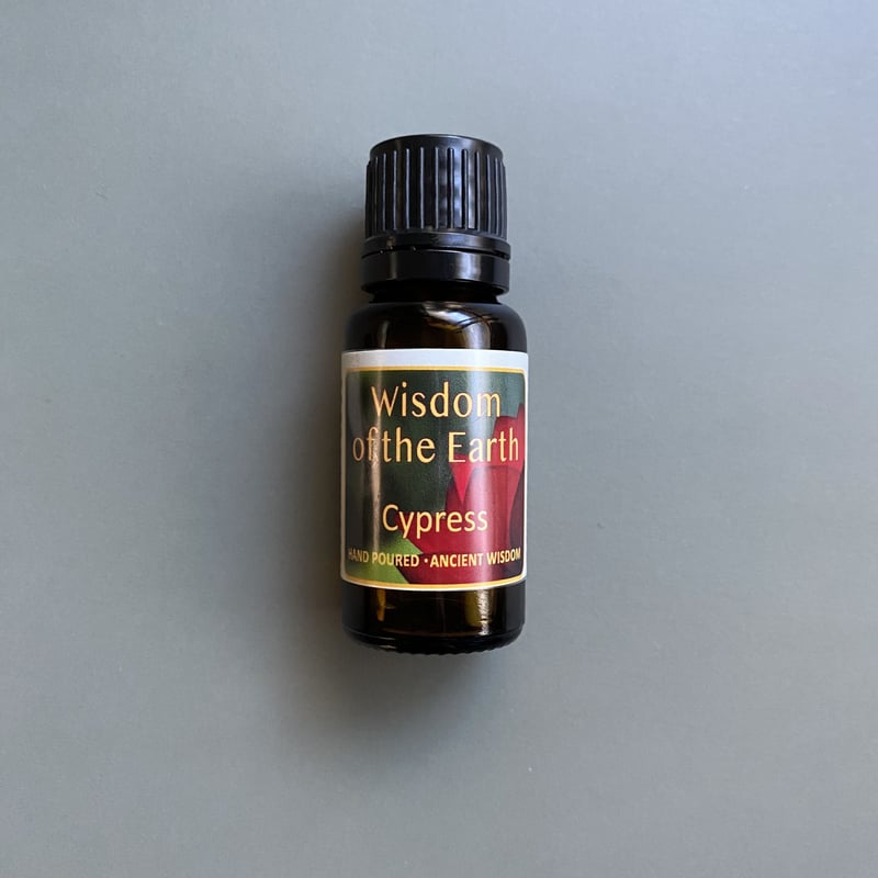 サイプレス 「非常にスピリチュアルで愛に溢れている」☆15m在庫あり