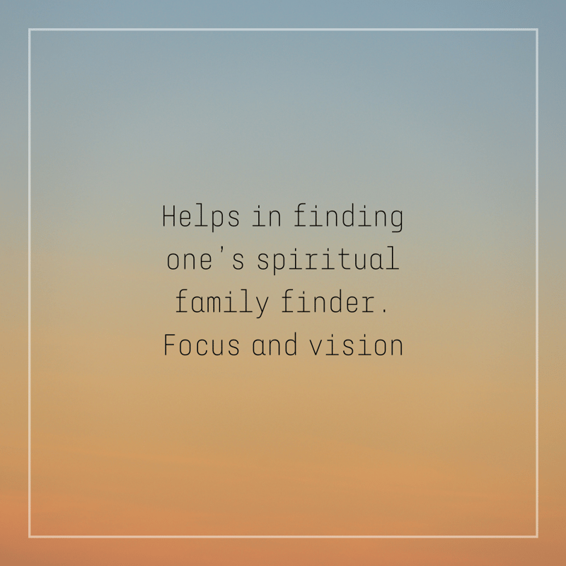 ロードデンドロン「魂の家族を引き寄せる」 | Wisdom of the Earth by Oli