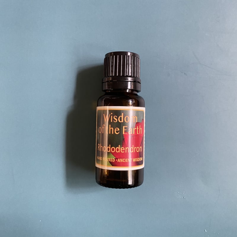 ロードデンドロン「魂の家族を引き寄せる」 | Wisdom of the Earth by Oli