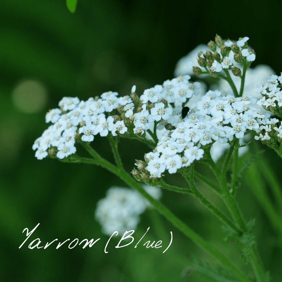 67349d7f87fb370d4a29cf7b