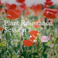 Plant Resonance Session 〜植物と共鳴する香りのセッション〜