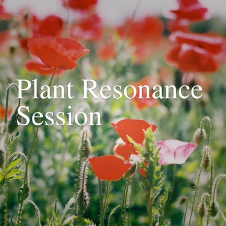 Plant Resonance Session 〜植物と共鳴する香りのセッション〜