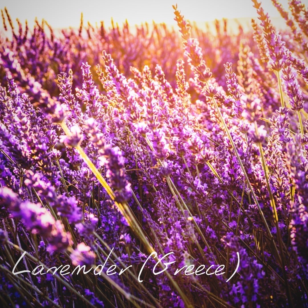 reason【フォロー割あり】ドテラバランス15ml、ラベンダー15ml