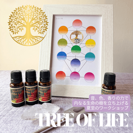 【最終価格】正規品 新品・未開封 パチュリ Wisdomof the Earth Oli Wisdom of the Earth