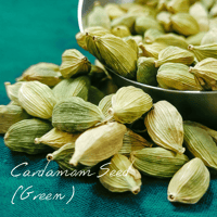 ジンジャー・リリー 15ml | Wisdom of the Earth by Oli