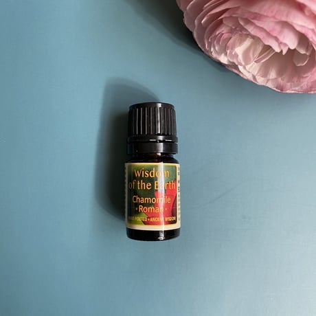 Wisdom of the Earth by Oli