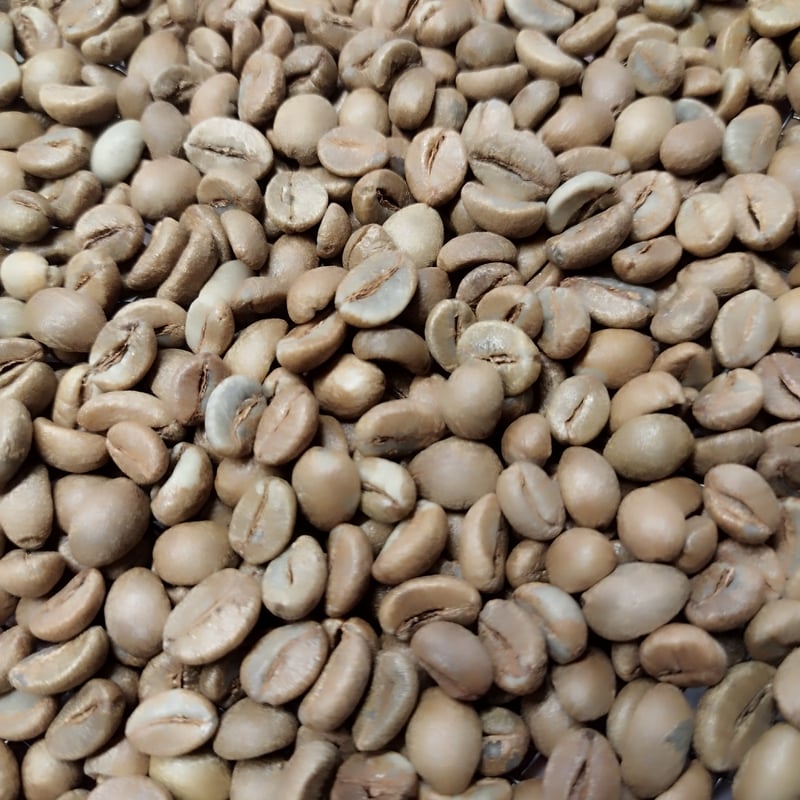 ベトナム / トイさんのファインロブスタ ワイニーハニー | ひっそり