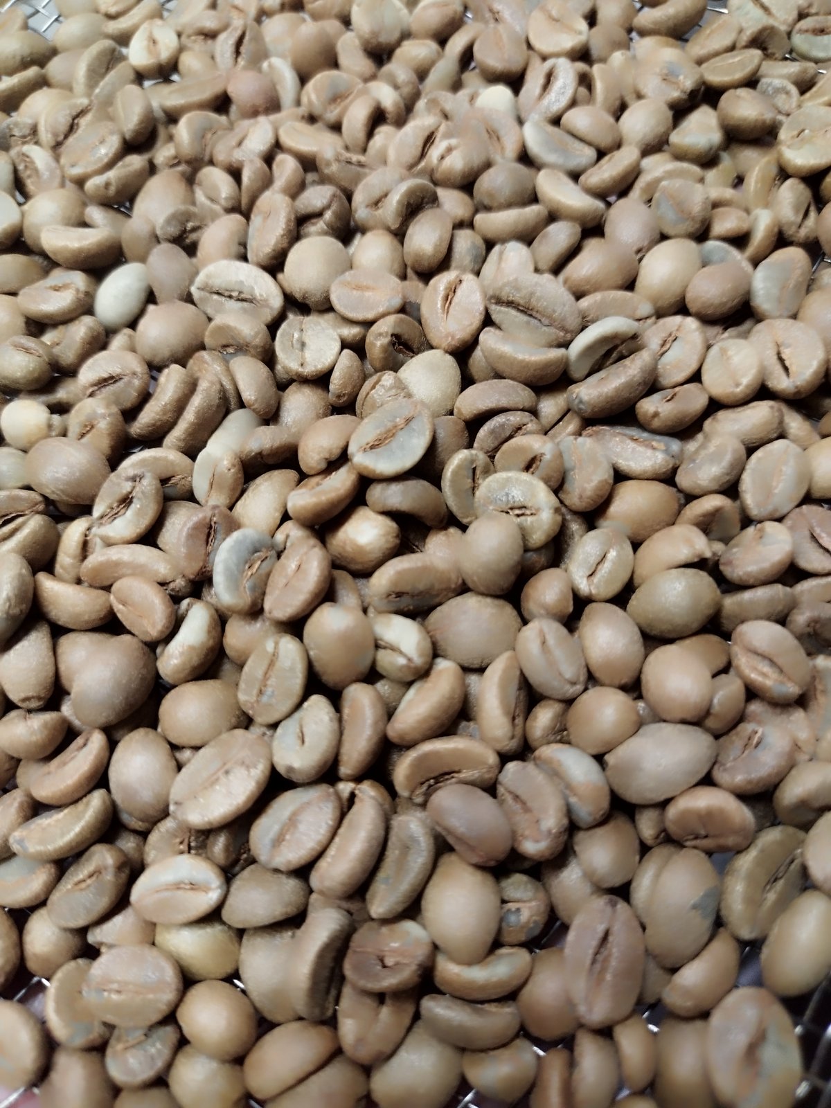 爆安!!【コーヒー生豆】ベトナム/ハニープロセス/ロブスタ15kg ※送料無料 爆安!!【コーヒー生豆】ベトナム/ハニープロセス/ロブスタ15kg ※送料